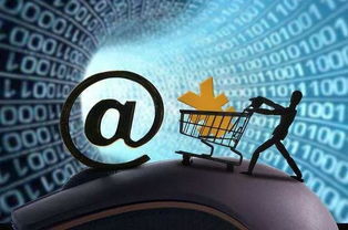 互聯(lián)網(wǎng)保險的下半場 數(shù)據(jù)服務(wù)驅(qū)動的新增長路徑