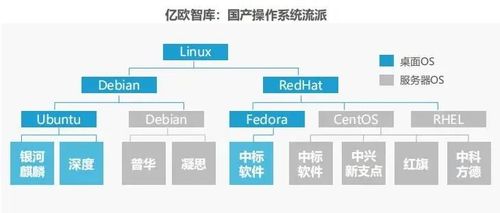 缺少靈魂 為什么我說中國軟件不行