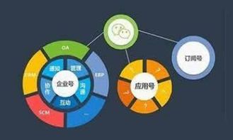 小程序服務類型如何選